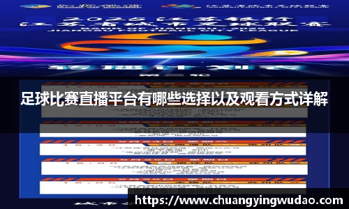 风云足球