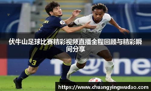 风云体育直播