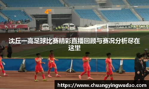 沈丘一高足球比赛精彩直播回顾与赛况分析尽在这里
